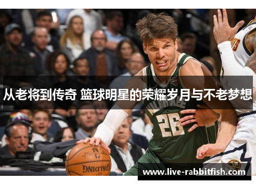 从老将到传奇 篮球明星的荣耀岁月与不老梦想